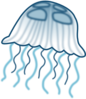 Jellyfish Clip Art