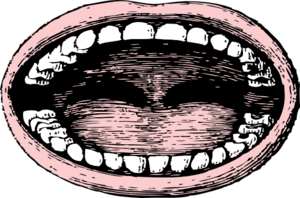 Wide Mouth Clip Art