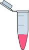 Eppendorf Rose Clip Art