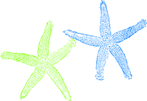 Blue And Green Starfish Clip Art