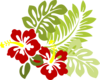 Hibiscus 5 Clip Art