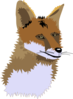 Fox  Clip Art