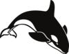 Orca Clip Art