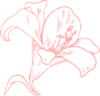 Pink Lily Clip Art