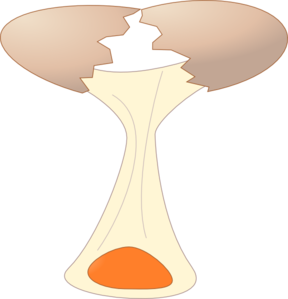 Runny Egg Clip Art