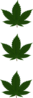 Three Cannabis Leaves Clip Art