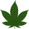 Weed Clip Art