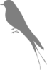 Bird Stand Grey Clip Art