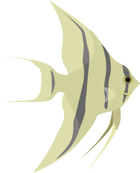 Angel Fish Clip Art at Clker.com - vector clip art online, royalty free ...