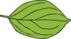 Apple Leaf Clip Art