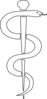 Rod Of Asclepius Upright Clip Art