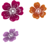 Three Wild Roses Clip Art