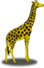 Giraffe Clip Art