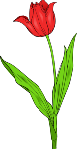Colored Tulip Clip Art