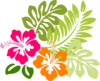 Hibiscus Kelly Clip Art