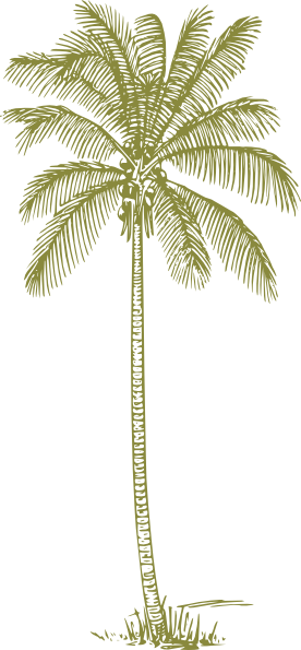 Brown Palm Tree Clip Art at Clker.com - vector clip art online, royalty