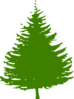 Pine Tree Clip Art