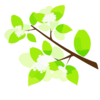 Green Tree Branch Icon Clip Art