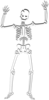 Scary Skeleton 2 Clip Art