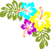 Hibiscus Clip Art