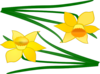 Two Flowers Clip Art
