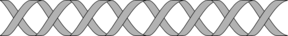 Dna Helix Longer Slimer Grey Clip Art