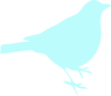 Sea Foam Blue Bird Clip Art