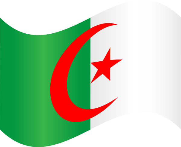 Algeria Flag Clip Art at Clker.com - vector clip art online, royalty ...