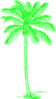 Palm Tree Green Clip Art