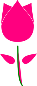 Pink Tulip Clip Art