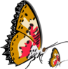 Butterfly Clip Art