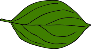 Dark Green Oval Leaf Clip Art