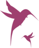 Magenta Hummingbird Silhouette Clip Art