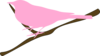 Pink Bird On Twig Clip Art