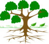 Tree Clip Art