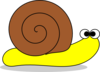 Snail No Mouth Clip Art
