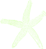 Single Starfish Seafoam Clip Art