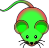 Mcherry/gfp Mouse Clip Art