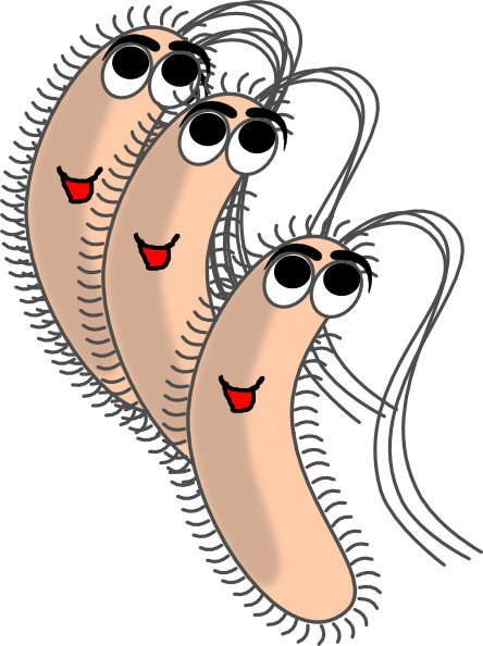 Modified Funny Bacteria Clip Art at Clker.com - vector clip art online