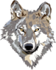 Wolf Vector Clip Art