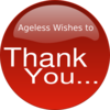 Red Thank You Clip Art