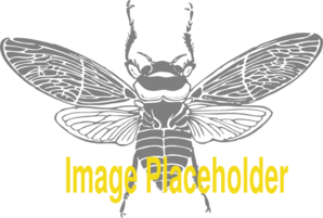 Bee Image Placeholder Clip Art