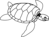 Turtle With Big Eye Clip Art