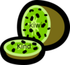 Kind Kiwi Clip Art