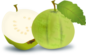 Guava Clip Art