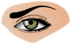 Eye Clip Art