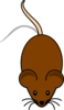 Brown W/short Tail Clip Art