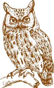 Owl Brown Clip Art  at Clker com vector clip art  online 