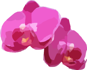Two Pink Orchids Clip Art