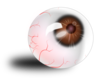 Eyeball Brown Bloodshot Clip Art
